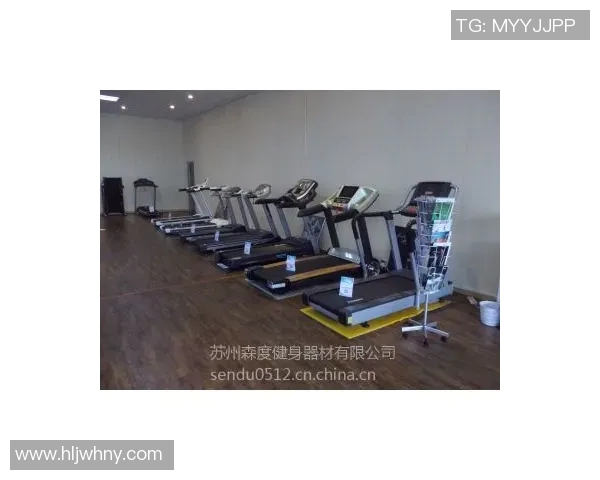 英派斯健身器材公司的发展历程