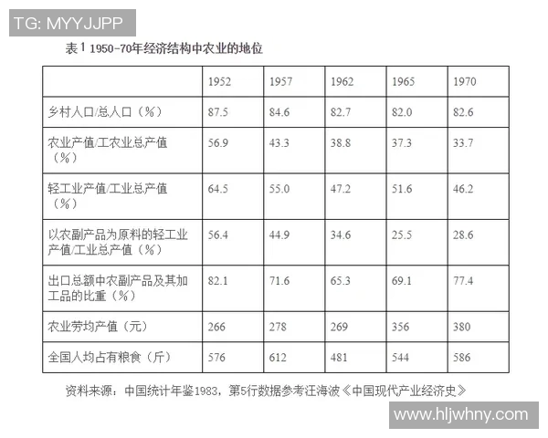 中超联赛历史回顾与发展历程探析：从创立初期到现今的变革与挑战